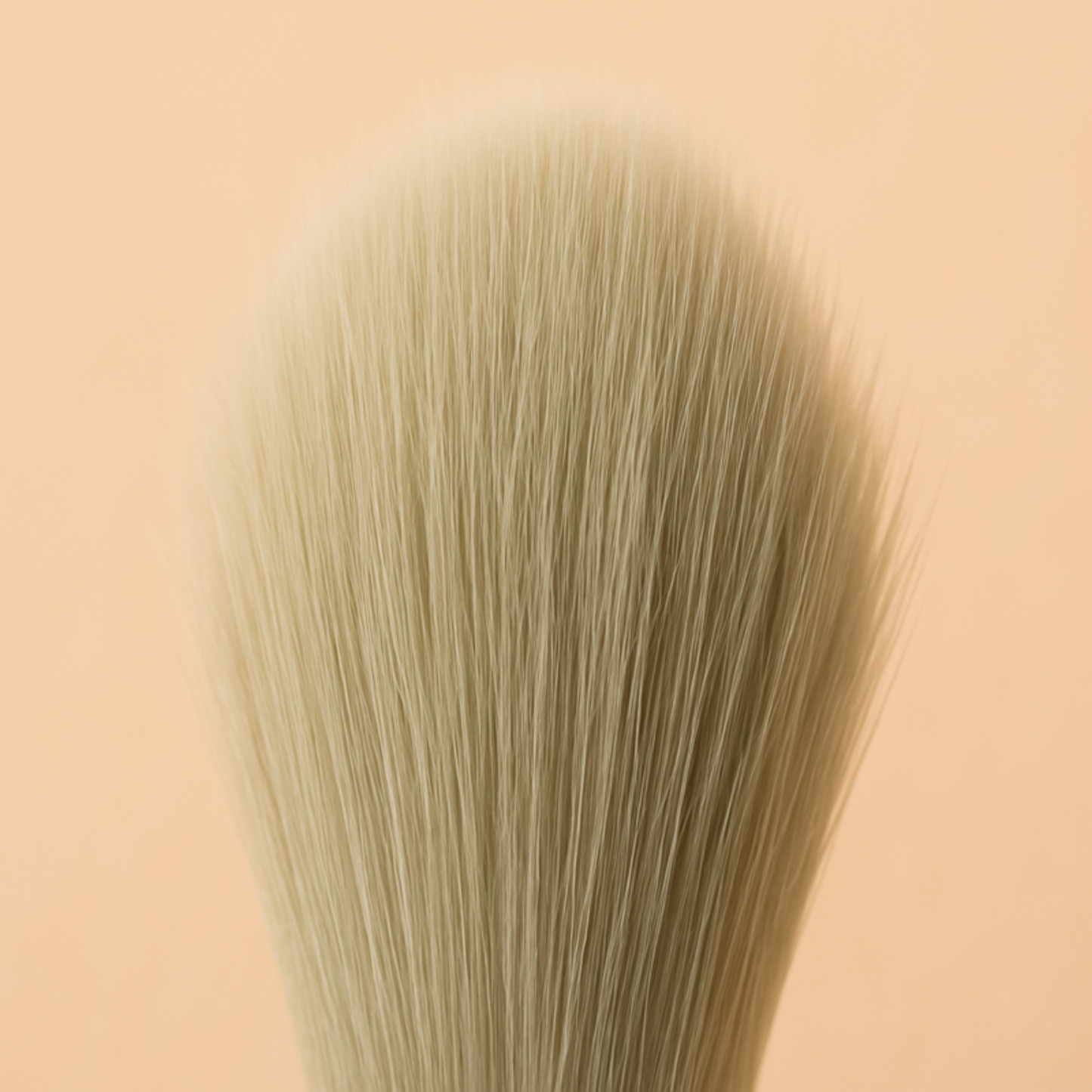The Glassi Brush Kit